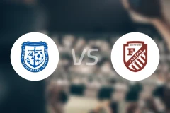 布尔加斯1919vs弗拉特里亚比分预测【2025/11/29】