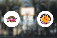 秋田北部喜悦vs名古屋钻石海豚比分预测【2025/11/05】