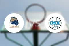 霍穆托夫猎豹女篮vs勃朗狄斯女篮比分预测【2026/02/14】