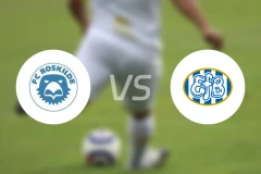 罗斯基德vs埃斯比约比分预测【2024/08/31】