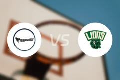 蒂罗尔突袭者vs多恩比恩狮子比分预测【2026/01/18】