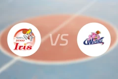 电装小仙女女篮vs爱信飞翼女篮比分预测【2025/11/22】