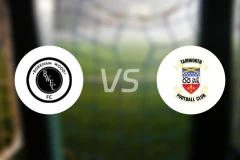 博瑞汉姆vs谭禾夫比分预测【2025/11/15】