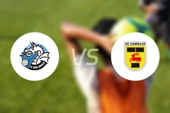 邓伯什vs坎布尔比分预测【2026/04/11】