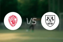 圣安尼vs亚眠比分预测【2025/11/29】