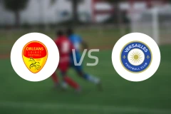 奥尔良vs凡尔赛比分预测【2025/12/13】