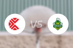 萨格勒布希伯纳vs斯克耶沃比分预测【2026/02/18】