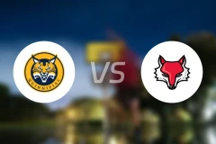 昆尼皮亚克大学vs毛利斯特大学比分预测【2026/01/25】