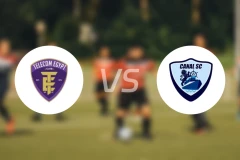 埃及电信vs阿尔卡纳比分预测【2026/01/08】