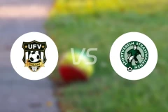 UFV塔尔加vs施特拉施华尔臣比分预测【2024/10/13】