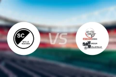 SC斯雷维巷vs维丹比分预测【2026/03/22】