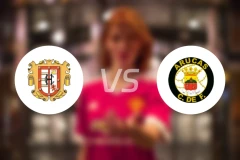 赫巴尼亚vs阿鲁卡斯比分预测【2026/02/08】