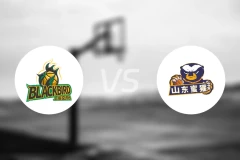 上海玄鸟vs山东蜜獾录像回放【2026/03/10】