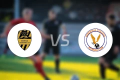 玛尼卡钻石vs赫伦塔尔斯FC比分预测【2024/08/11】