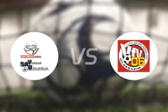 维丹vs希尔德斯海姆比分预测【2025/12/06】