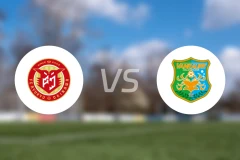 FC琉球冲绳vs八户于南乡比分预测【2024/10/26】