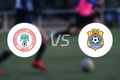 尼日利亚vs民主刚果比分预测【2025/11/17】