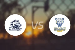 麦特鲁格vs顿河畔罗斯托夫比分预测【2025/11/02】