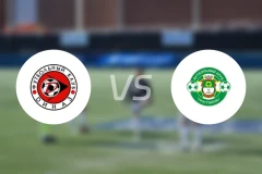 迪纳兹维什哥罗德vs托尔斯蒂安比分预测【2025/11/16】