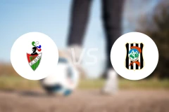 戈阿尼佐vs艾斯哥比度比分预测【2026/03/22】