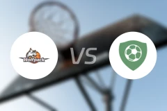 哥本哈根狼队vs维耶比分预测【2026/01/31】