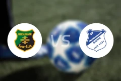 航林SCvs霍尔特豪森蜜蜂比分预测【2026/03/22】