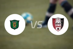 蒂沃利加登斯vs阿内特加登斯比分预测【2026/03/20】