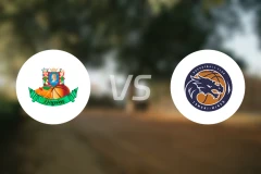 努伯B队vs苏杜明斯克比分预测【2025/11/12】