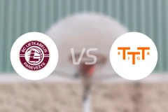 帕纳瓦兹女篮vs里加女篮比分预测【2026/02/16】