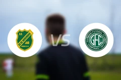 德昭青年队vs瓜拉尼青年队比分预测【2026/01/15】