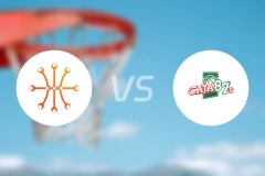 希洪vs卡贾87比分预测【2026/01/11】