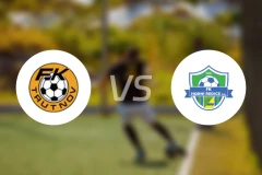 图特诺维vsFK霍尼红冰比分预测【2026/03/15】