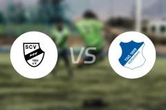 SC维尔vs霍芬海姆青年队比分预测【2026/02/14】