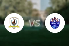 淡滨尼流浪者vs狮城水手比分预测【2024/09/29】