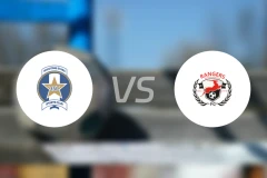 射击之星vs埃努古流浪者比分预测【2026/03/29】