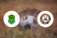 亚历山大港联合vs萨瓦赫尔比分预测【2026/01/31】