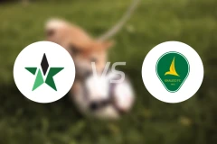 纳杰马体育vs塞哈特海湾比分预测【2026/01/02】