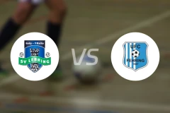 SV雷布林市vsUFC费灵比分预测【2024/09/28】