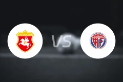 安科纳vs福索姆布隆比分预测【2025/11/30】