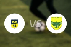TSV梅尔布施vs条顿尼亚通尼斯比分预测【2025/10/19】