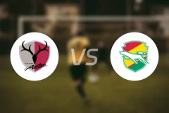 鹿岛鹿角vs千叶市原比分预测【2026/03/22】