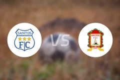 桑托斯足球俱乐部vs阿亚库乔比分预测【2026/04/05】