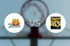 哈根vs图寅根比分预测【2026/02/01】