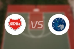 孟菲斯疾行vs爱荷华狼队比分预测【2026/01/25】