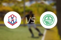 冠忠南区vs大埔比分预测【2026/02/28】