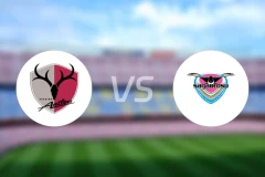 鹿岛鹿角vs鸟栖砂岩比分预测【2024/08/07】