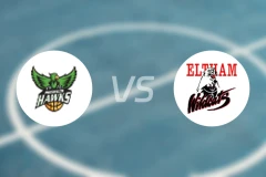 灵伍德老鹰女篮vs埃尔特姆野猫女篮比分预测【2026/04/09】