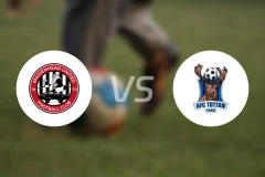 梅顿赫德联vs托顿比分预测【2026/01/28】