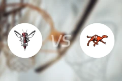 林奇堡大学vs坎贝尔大学比分预测【2025/12/08】