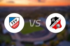 TSV沙塞尔vs阿尔托那比分预测【2024/09/29】